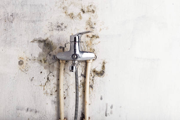 Best Commercial Mold Removal  in Clifton Knolls Mill Creek, NY